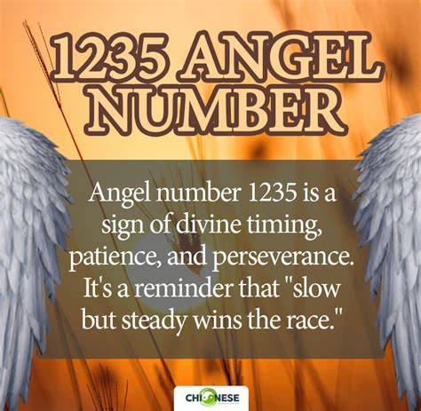 1235 angel number twin flame|1235 Angel Number Love, Twin Flame & Money。